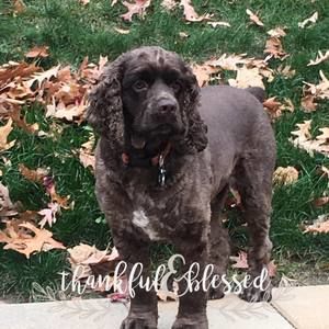 Meet your Posher, Leigh-ann